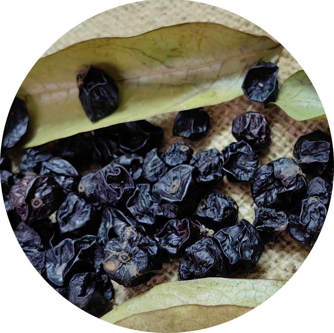 Jabuticaba Deshidratada